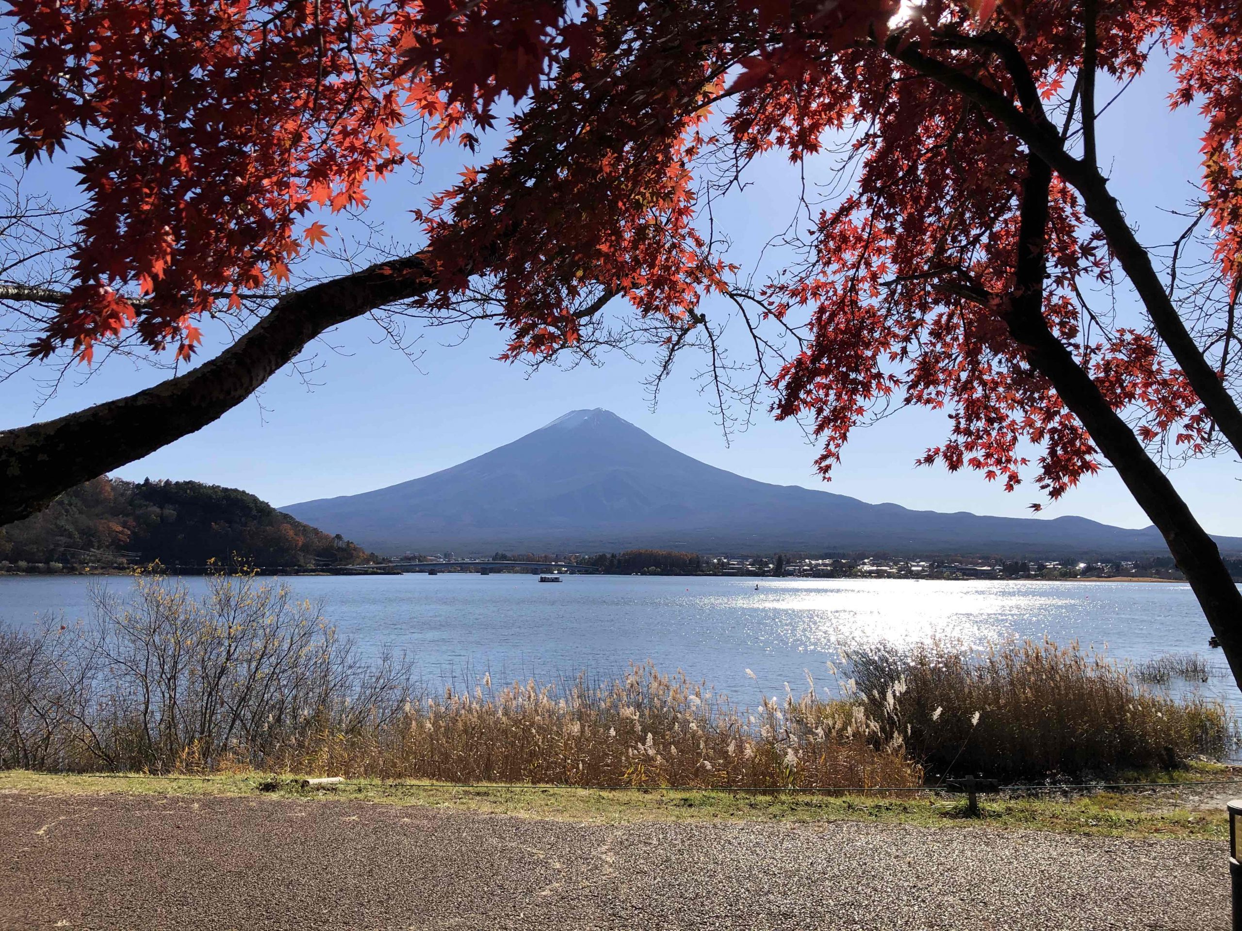 Mount Fuji as seen from Lake Kawaguchiko